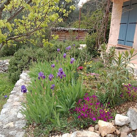 Bed and Breakfast La Farigoulette Lorgues Esterno foto