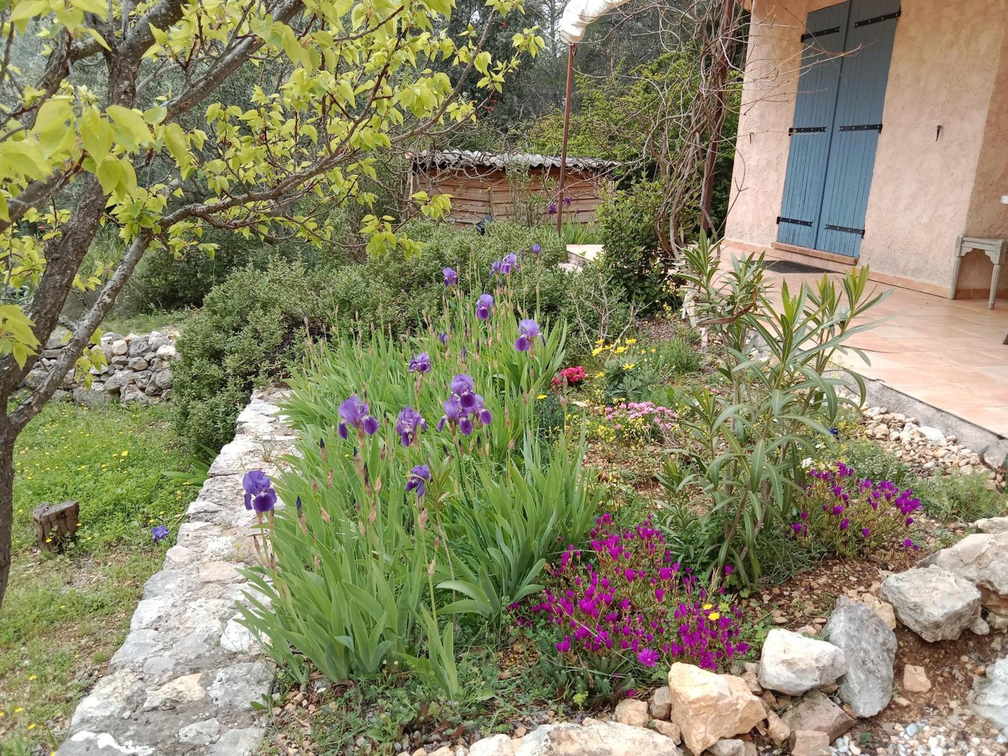 Bed and Breakfast La Farigoulette Lorgues Esterno foto